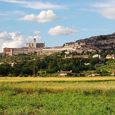 Vista Assisi Bed & Breakfast エクステリア 写真