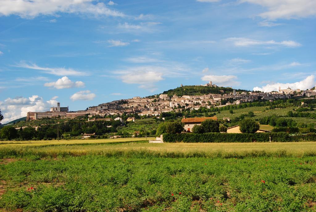 Vista Assisi Bed & Breakfast エクステリア 写真