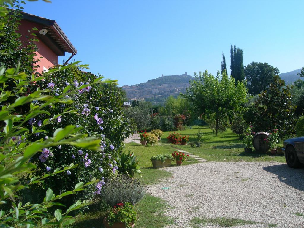 Vista Assisi Bed & Breakfast エクステリア 写真