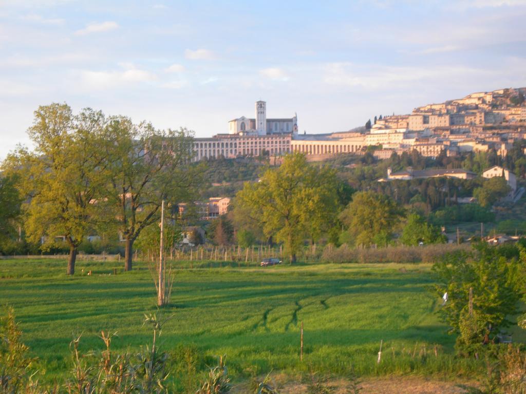 Vista Assisi Bed & Breakfast エクステリア 写真
